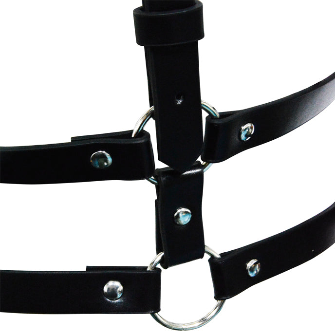 Harness läder "Bandage"